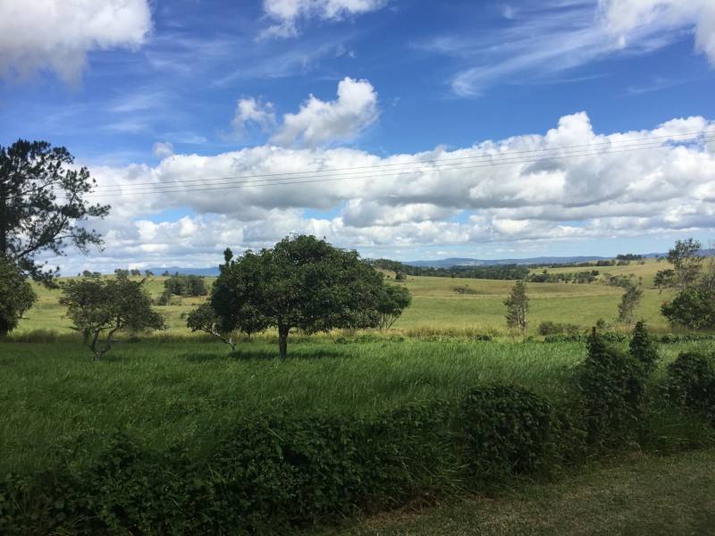 Yungaburra QLD 4884