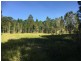 Yungaburra QLD 4884