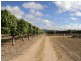 Dimbulah QLD 4872