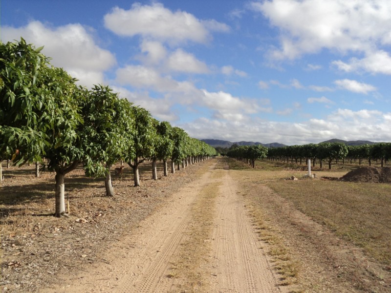 Dimbulah QLD 4872