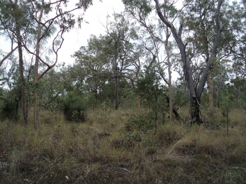 Millstream QLD 4888