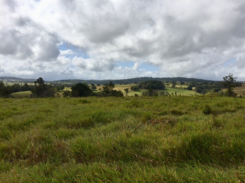 Yungaburra QLD 4884