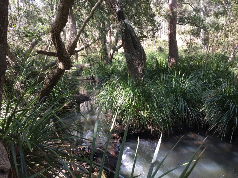 Wondecla QLD 4887