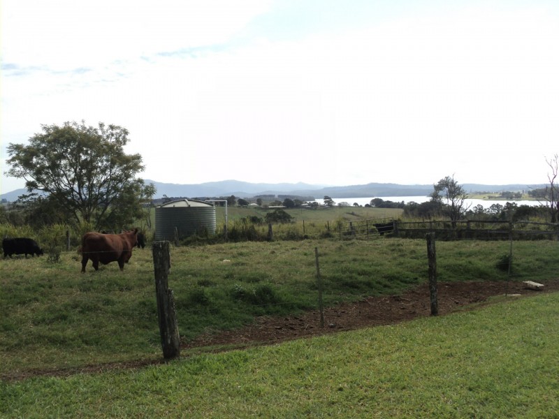 Yungaburra QLD 4884