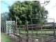 Yungaburra QLD 4884