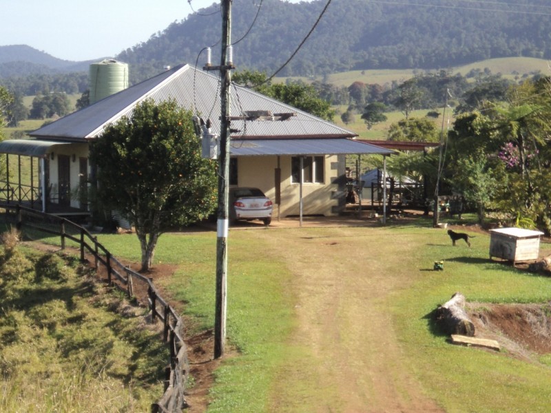 Millaa Millaa QLD 4886