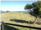 Millaa Millaa QLD 4886