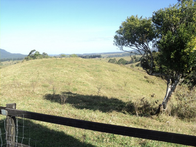 Millaa Millaa QLD 4886