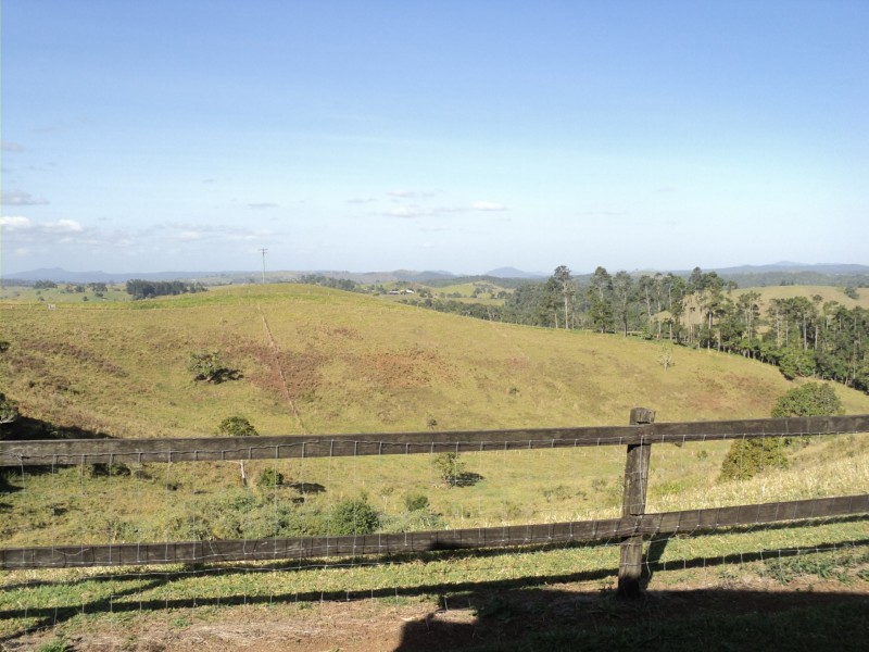 Millaa Millaa QLD 4886