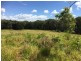 Yungaburra QLD 4884