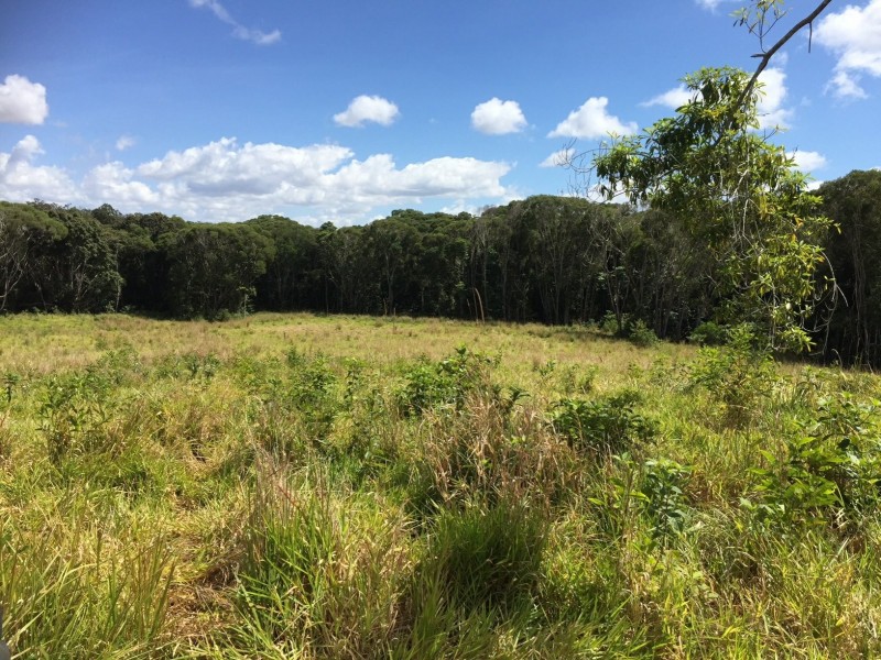 Yungaburra QLD 4884