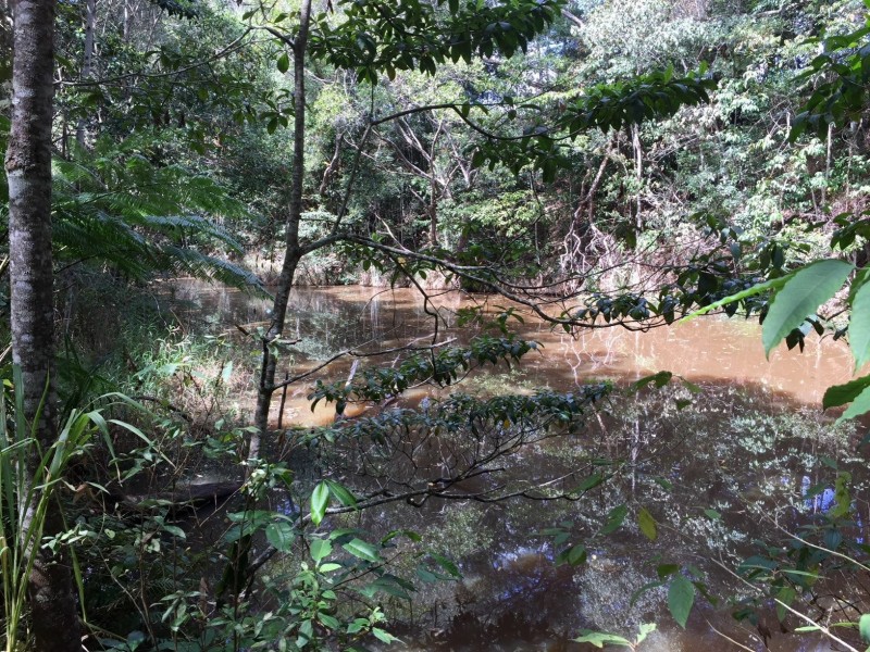 Yungaburra QLD 4884