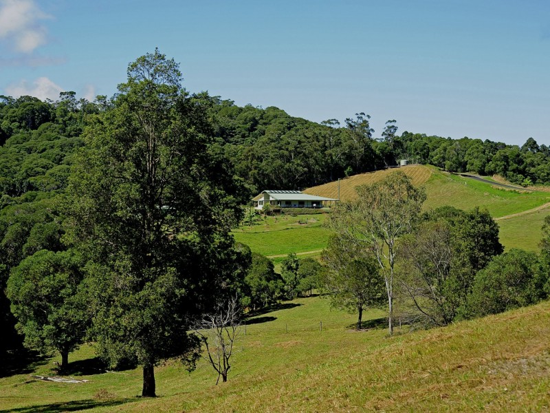 Yungaburra QLD 4884