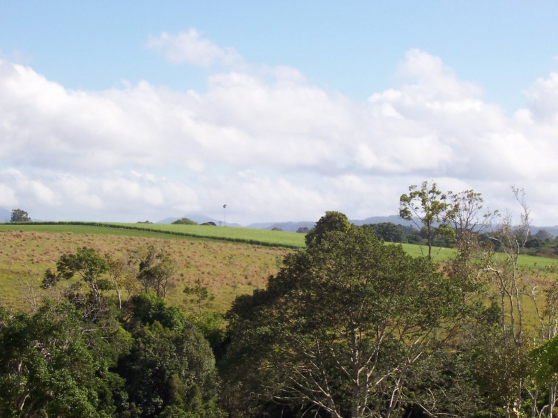 Yungaburra QLD 4884