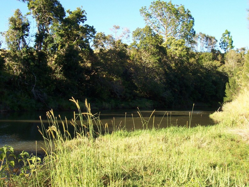 Yungaburra QLD 4884