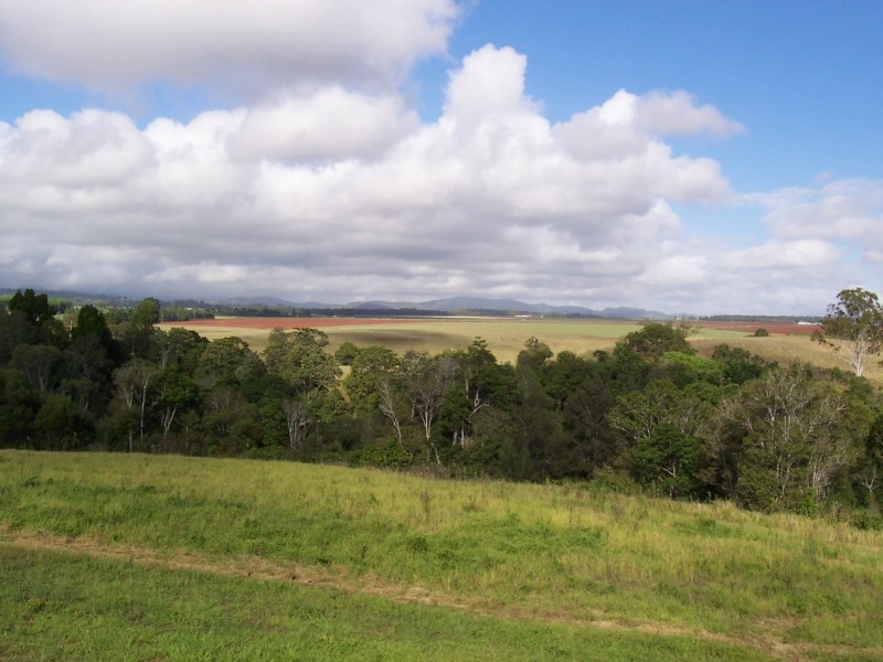 Yungaburra QLD 4884
