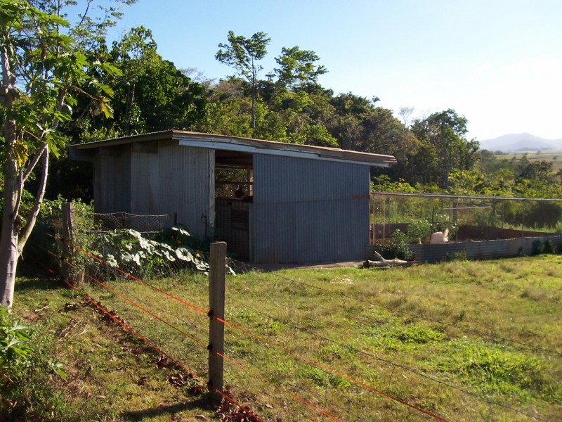 Yungaburra QLD 4884
