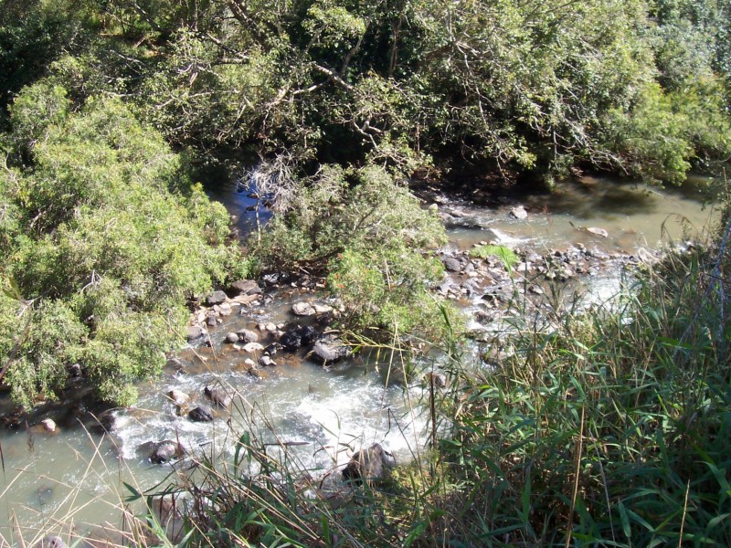 Yungaburra QLD 4884