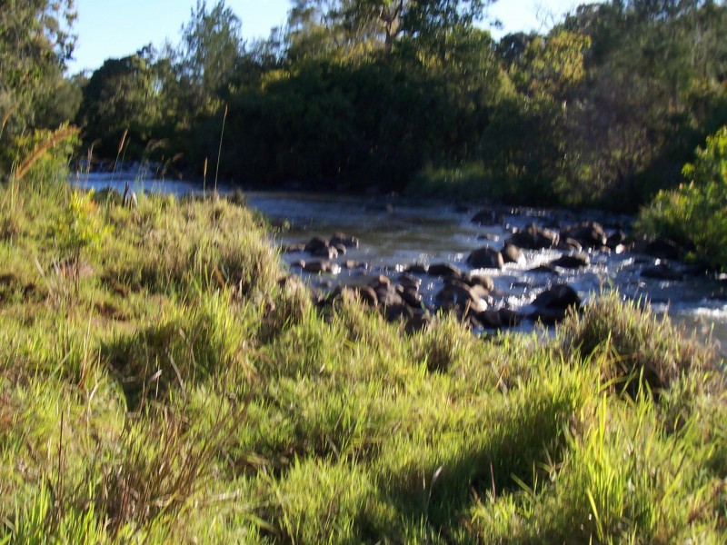 Yungaburra QLD 4884