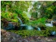 Yungaburra QLD 4884