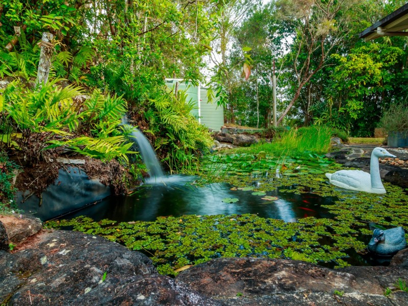 Yungaburra QLD 4884