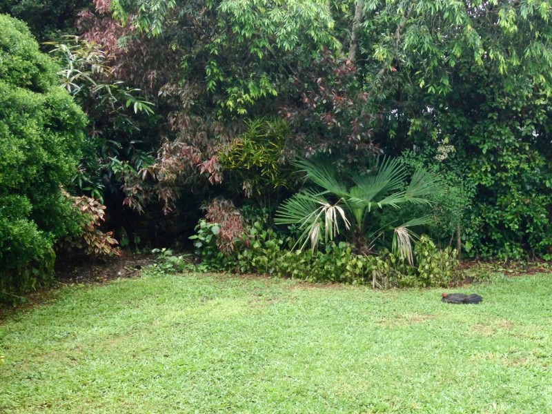 22 Janda Street, Atherton QLD 4883