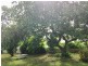 Ravenshoe QLD 4888