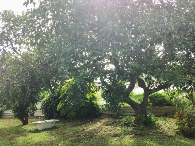 Ravenshoe QLD 4888