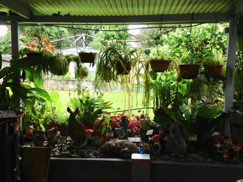 Atherton QLD 4883