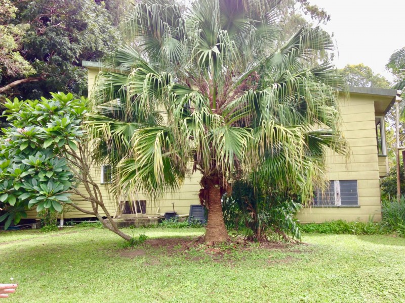 Wondecla QLD 4887