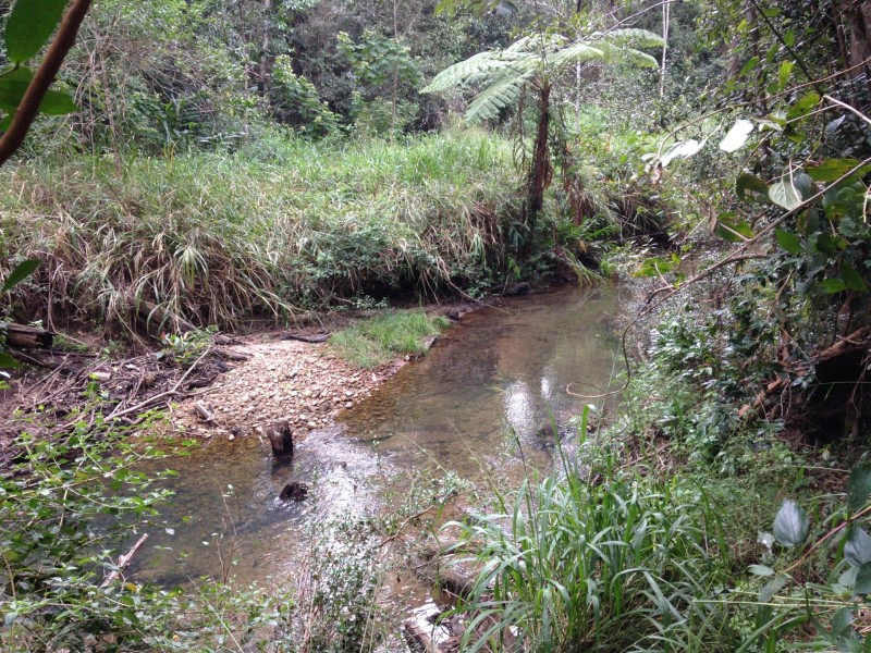 Atherton QLD 4883