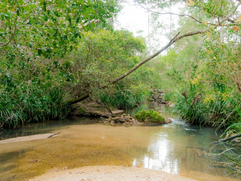 13 Goldfinch Road, Wondecla QLD 4887