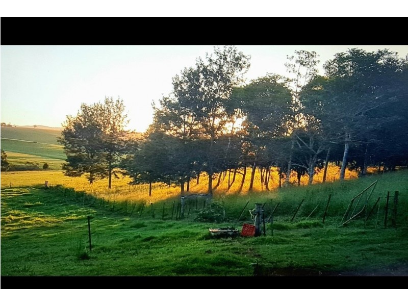 3 Dobson Road, Malanda QLD 4885