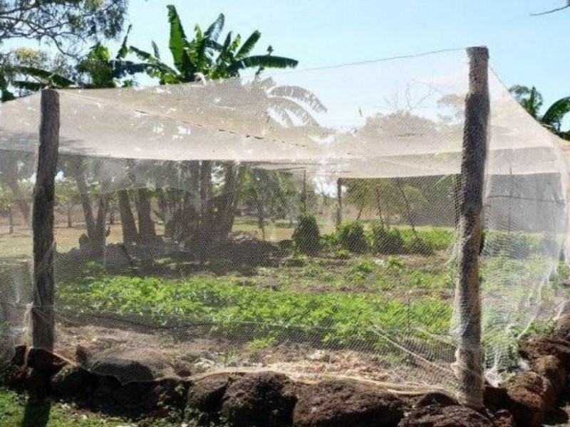 22 O’Briens Creek Road, Mount Surprise QLD 4871