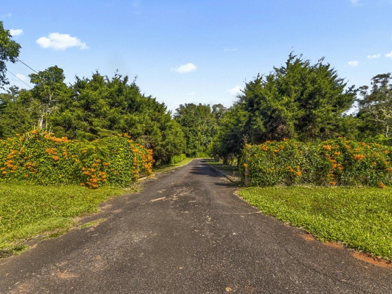 42 Figtree Close, Malanda QLD 4885