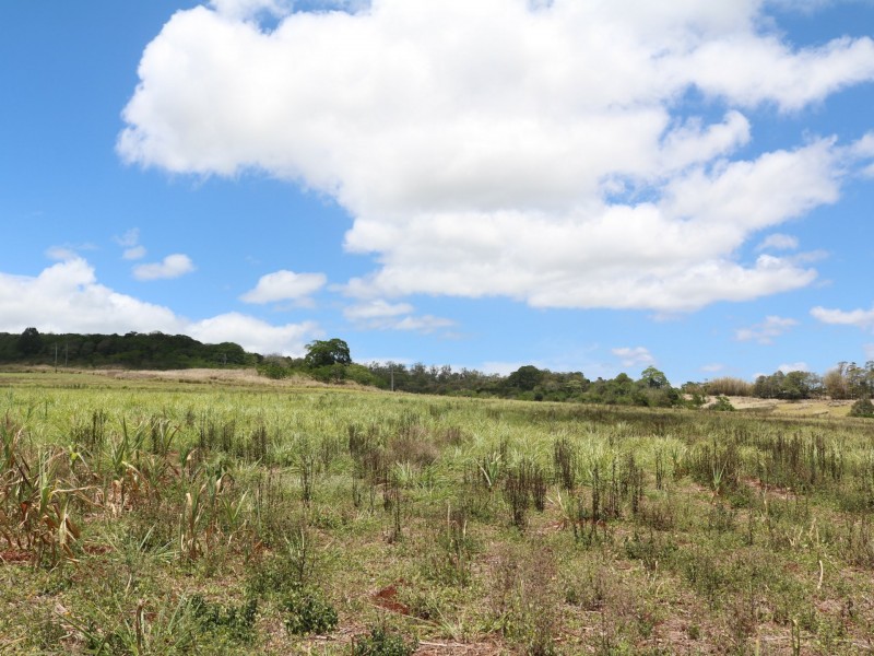 Lot 125 Gillies Range Road, Atherton QLD 4883