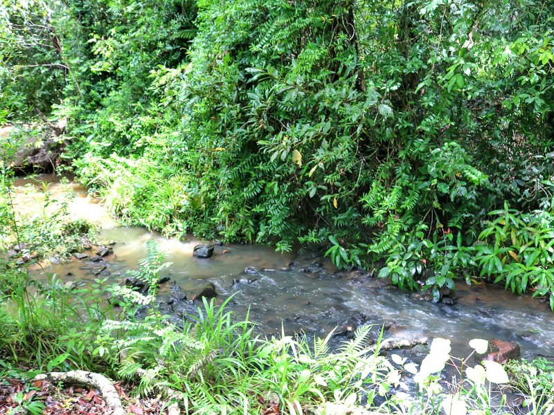 286 Sewell Road, Lake Eacham QLD 4884