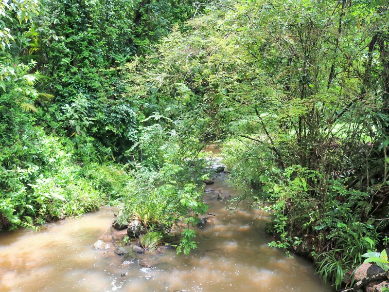 286 Sewell Road, Lake Eacham QLD 4884