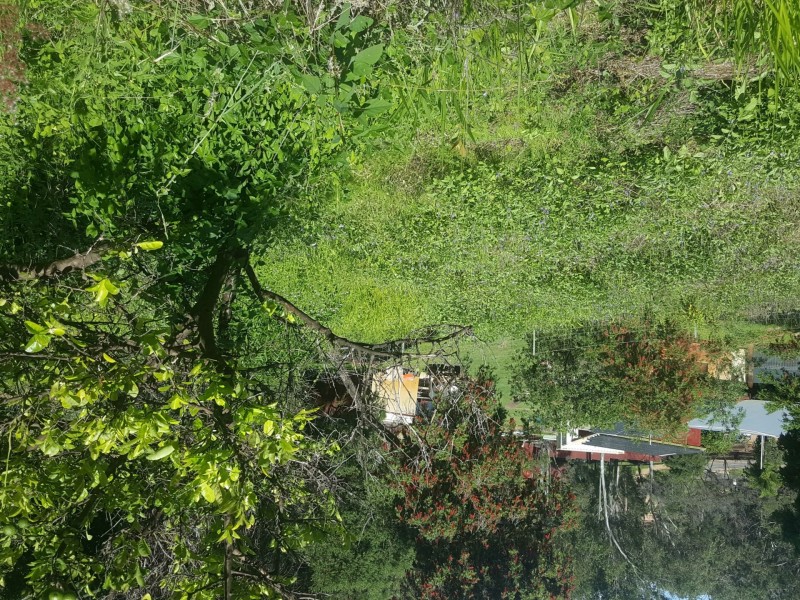 L901 Macdonald Street, Irvinebank QLD 4887