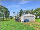 Millaa Millaa QLD 4886