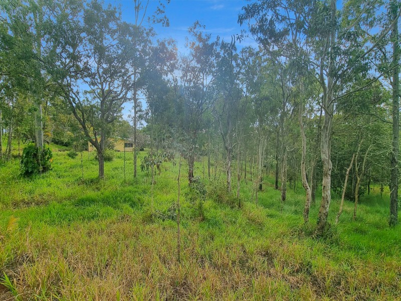 Tolga QLD 4882