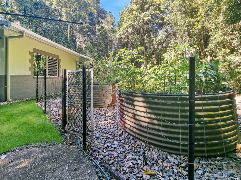 147 Figtree Close, Malanda QLD 4885