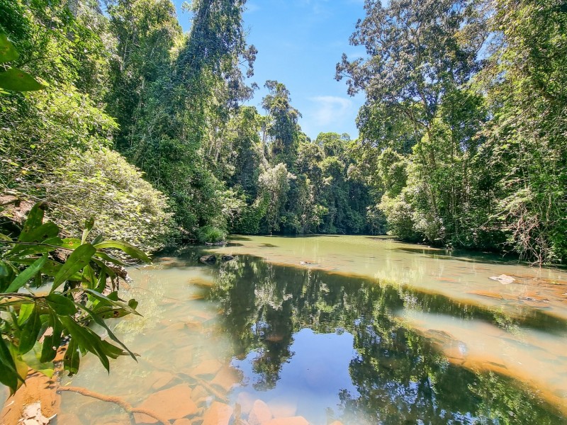 147 Figtree Close, Malanda QLD 4885