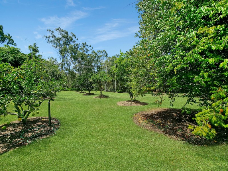 6663 Kennedy Highway, Tolga QLD 4882