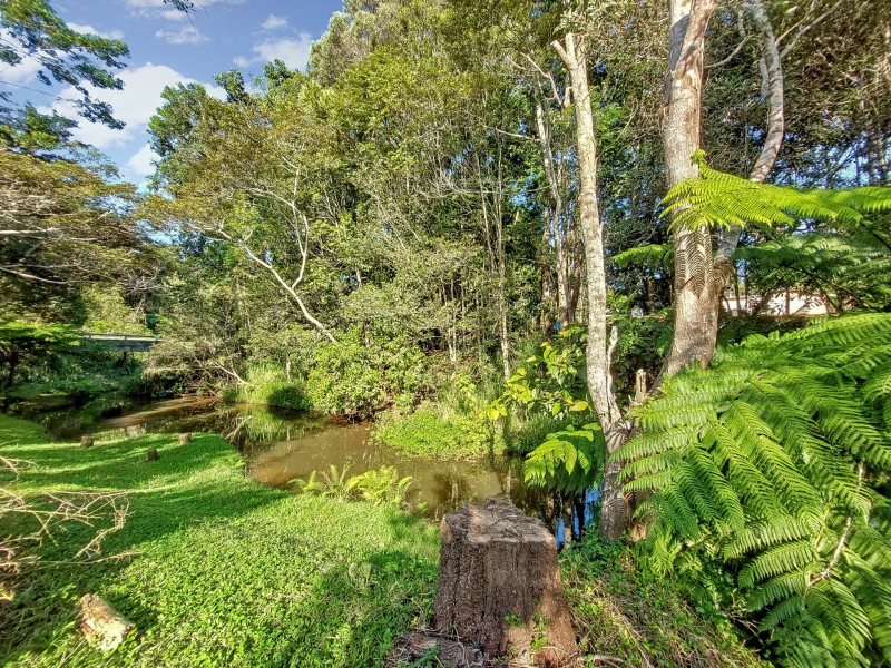 2 Figtree Close, Malanda QLD 4885