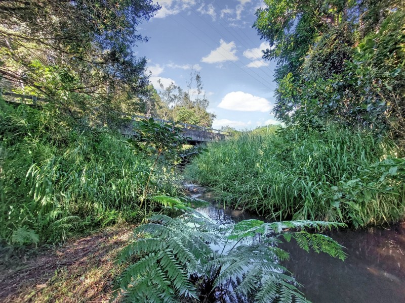 2 Figtree Close, Malanda QLD 4885