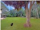 44 Gibson Street, Atherton QLD 4883