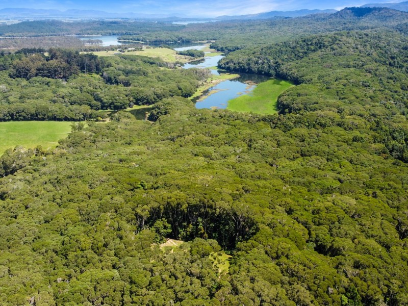 RN43 Stewart Road, Danbulla QLD 4872