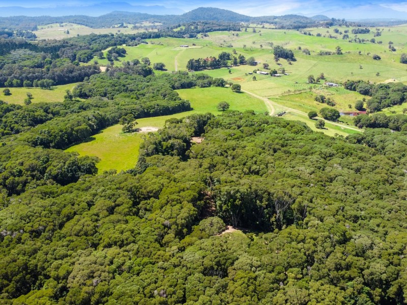 RN43 Stewart Road, Danbulla QLD 4872
