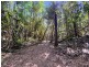 RN43 Stewart Road, Danbulla QLD 4872